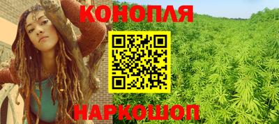 сатива Белореченск