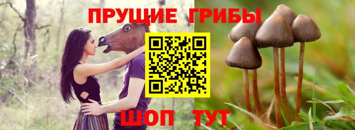 Галлюциногенные грибы MAGIC MUSHROOMS  Вход с VPN  наркотики  Торжок  Псилоцибиновые грибы ЛСД 